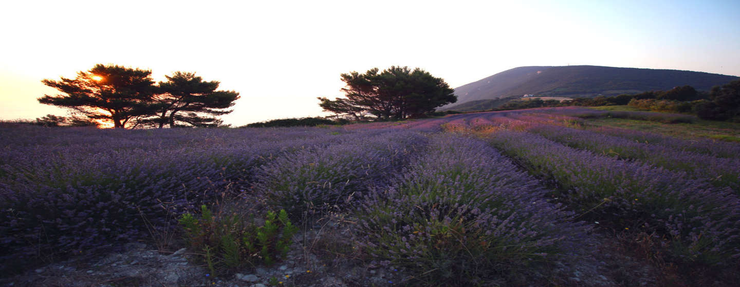 Profumi e colori a maggio